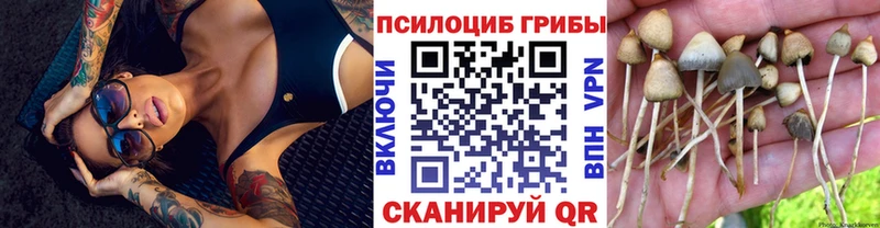 Псилоцибиновые грибы ЛСД продажа наркотиков Лабинск